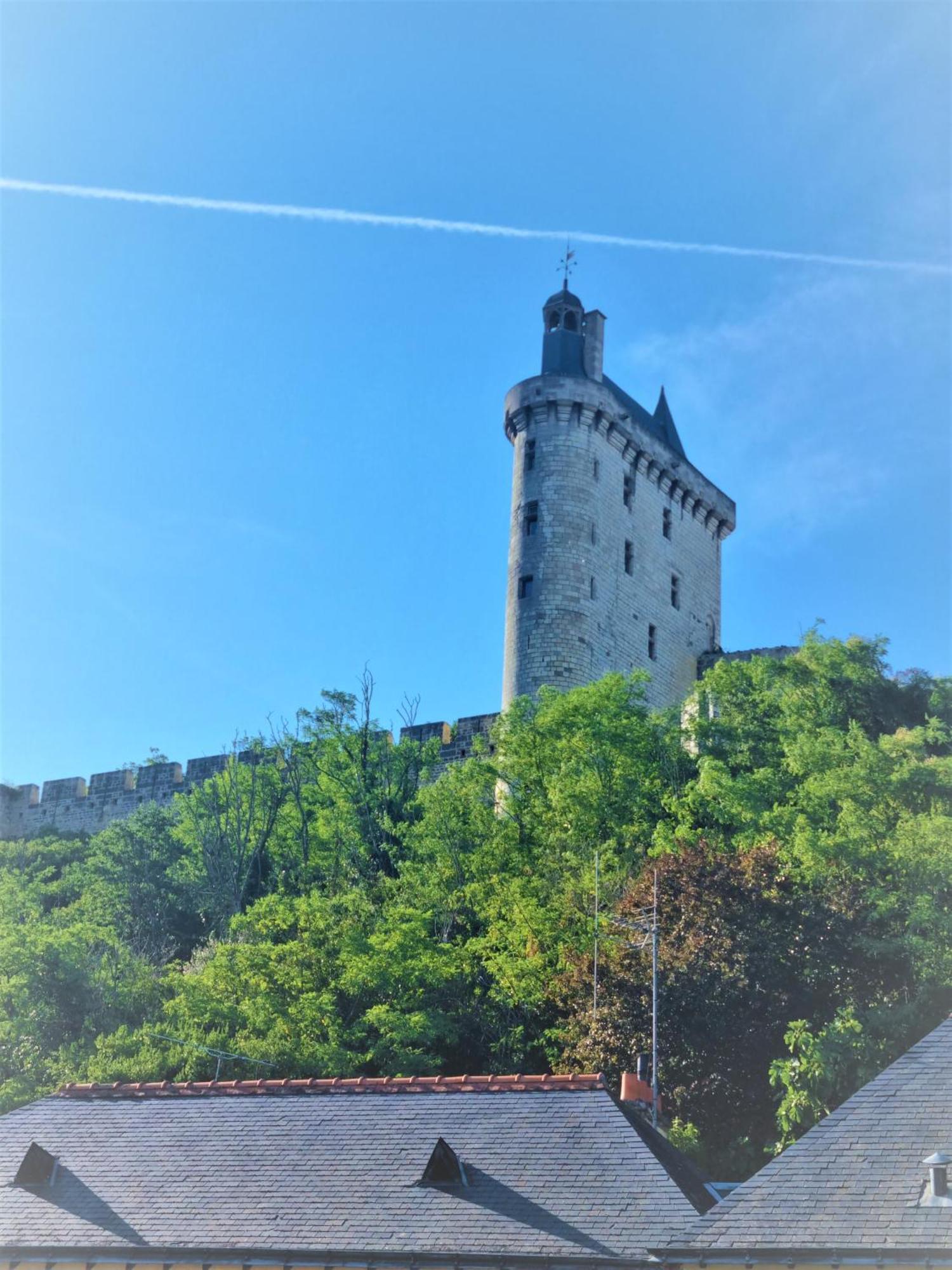 Apartament Le Jeanne D'Arc Chinon Zewnętrze zdjęcie
