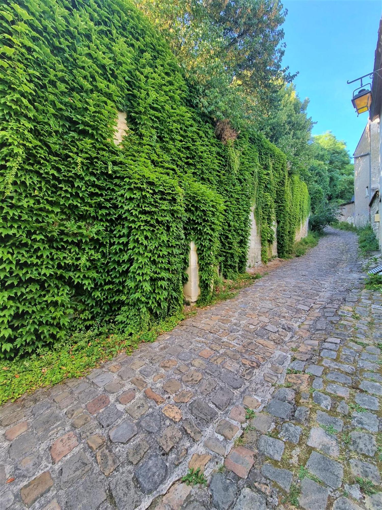 Apartament Le Jeanne D'Arc Chinon Zewnętrze zdjęcie